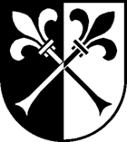 wappen umzug Nunningen