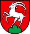 UMZUG Remigen Bild 5