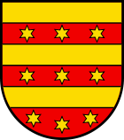 wappen umzug Rheinfelden