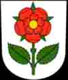umzug l�scher R�schlikon2