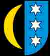 wappen umzug Schinznach-Dorf
