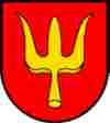 UMZUG Schnottwil Bild 5