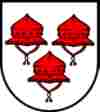 umzugsfirma seon wappen