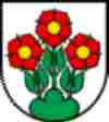 UMZUG Sins Bild 5