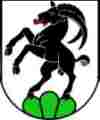 umzug Steinhausen bild