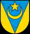 UMZUG Teufenthal Wappen