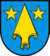 umzug Villnachern bild
