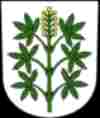 umzug Wangen-Br�ttisellen bild