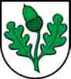 UMZUG W�renlingen Bild 2