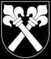 umzugsfirma Zwingen umzug Zwingen wappen