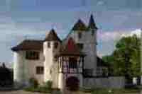 UMZUG Pratteln Bild 3